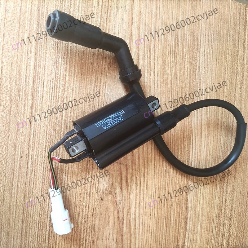 ZT310-V X T R1 2 Motorfiets Ho - Motorcycle Spark Plug recensie en prijs