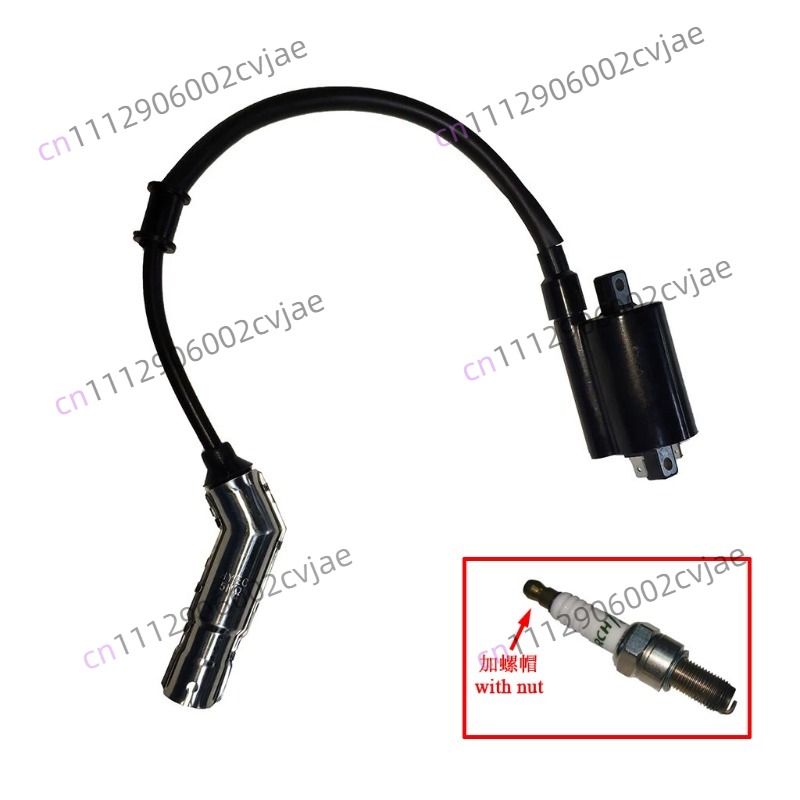 ZT310-V X T R1 2 Motorfiets Ho - Motorcycle Spark Plug recensie en prijs
